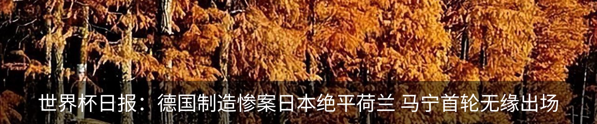 资讯动态